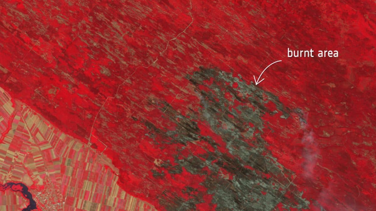 Satellite view of the dark burn scar left across the Deliblato Sands nature reserve in Serbia
