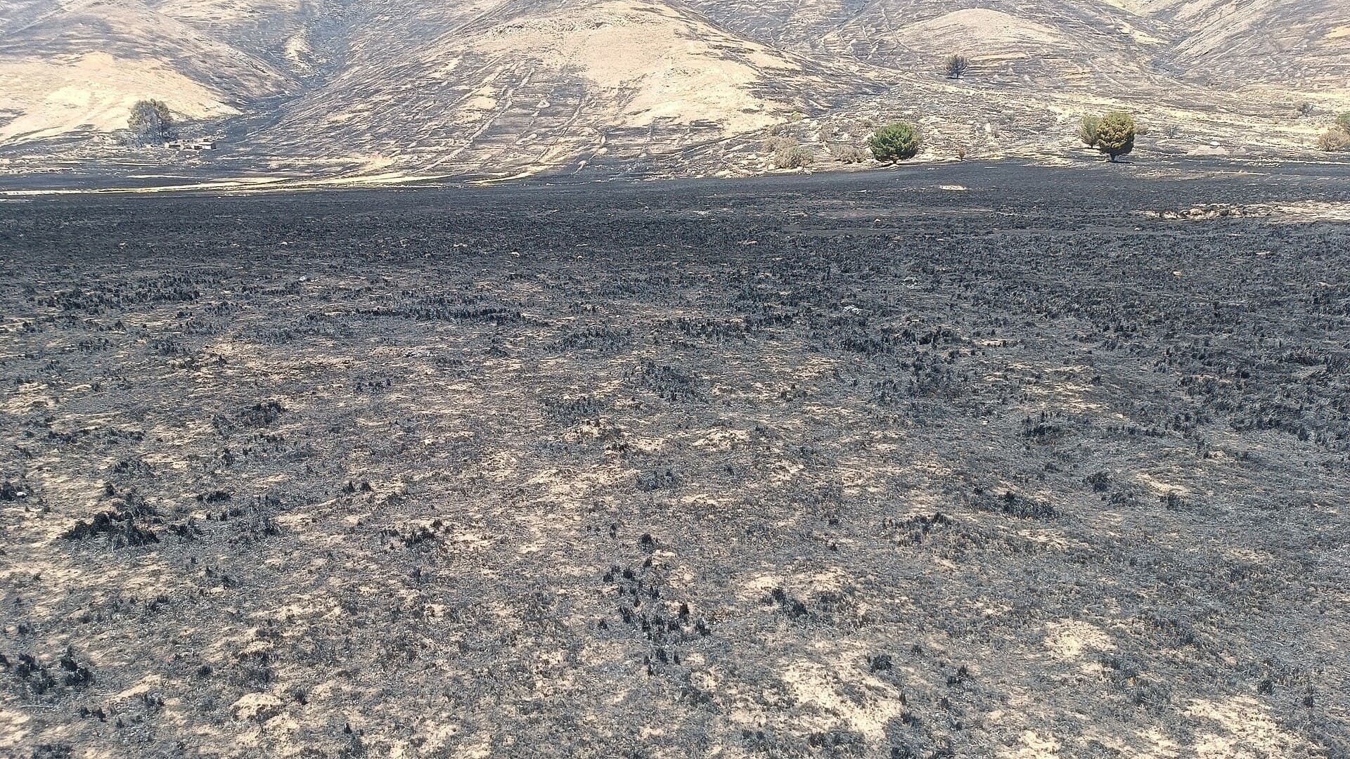 File photograph: File photo: land burned by a forest fire in Calapuja, Puno, Peru, on 11 October 2026.